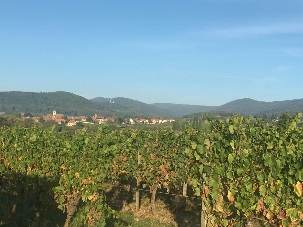 La Parenthese Villa Gertwiller Bagian luar foto
