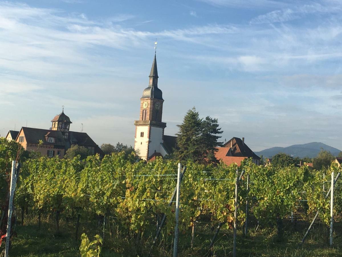 La Parenthese Villa Gertwiller Bagian luar foto